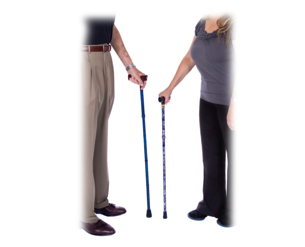 Demi Spring Garden Collection® Folding Canes