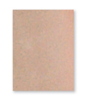 Stein's Moleskin Sheets